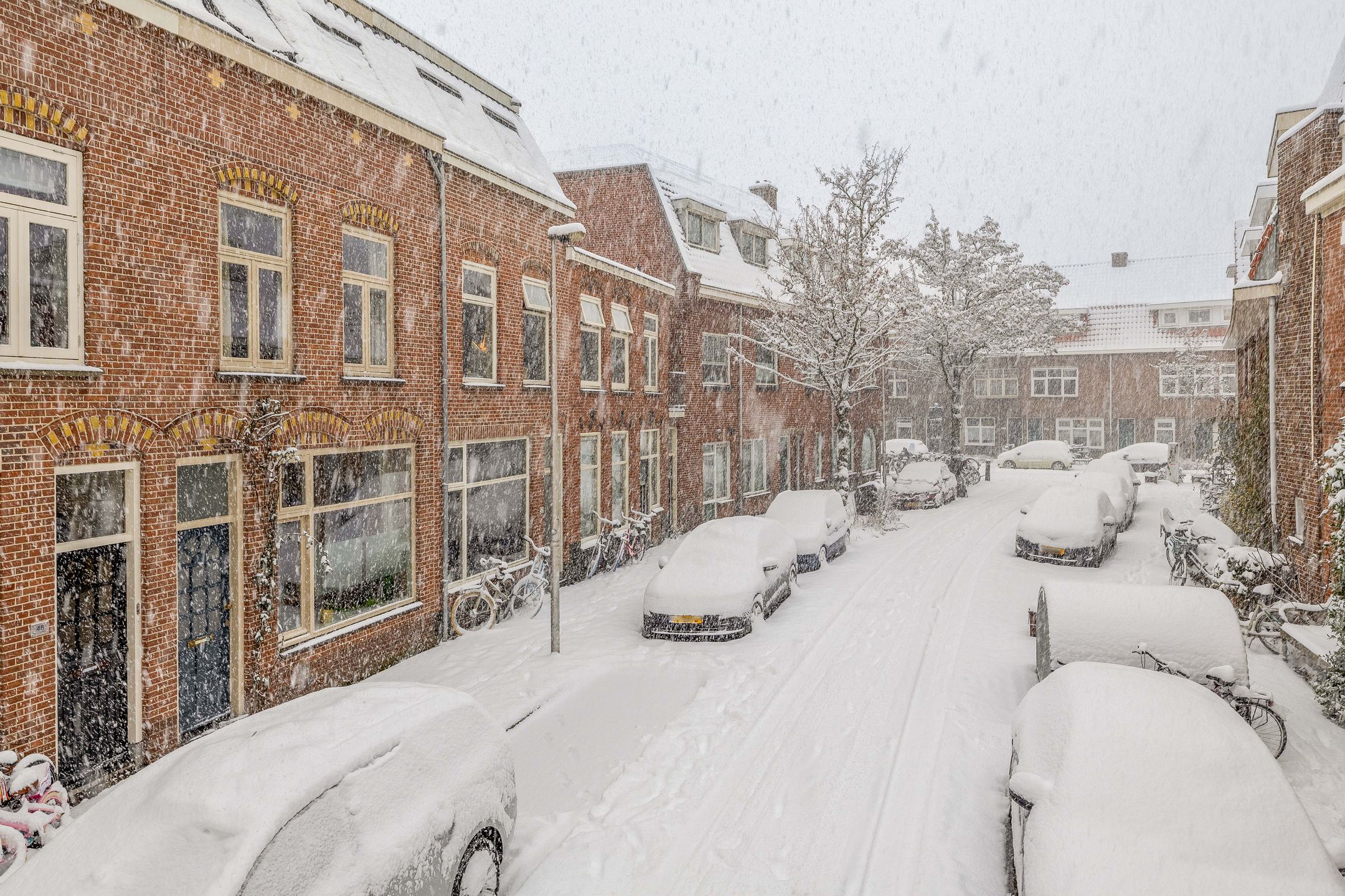 Foto 6 van Esdoornstraat 50