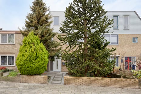 Doormanstraat thumbnail