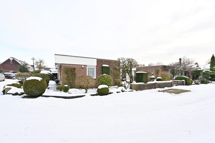 Foto 2 van Honingbij 24