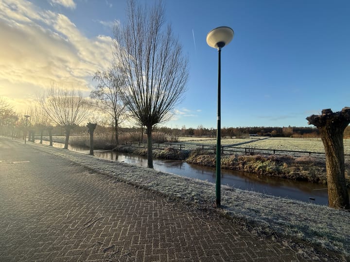 Foto 15 van Honingbij 24