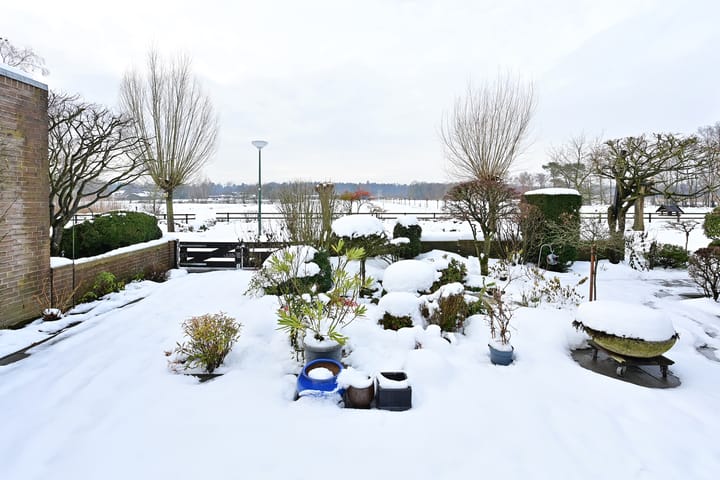 Foto 3 van Honingbij 24