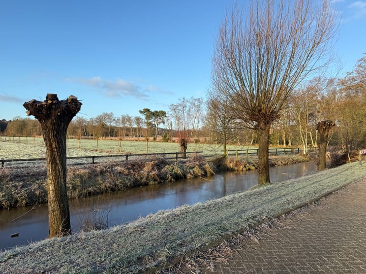 Foto 16 van Honingbij 24