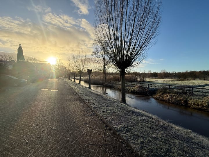 Foto 17 van Honingbij 24