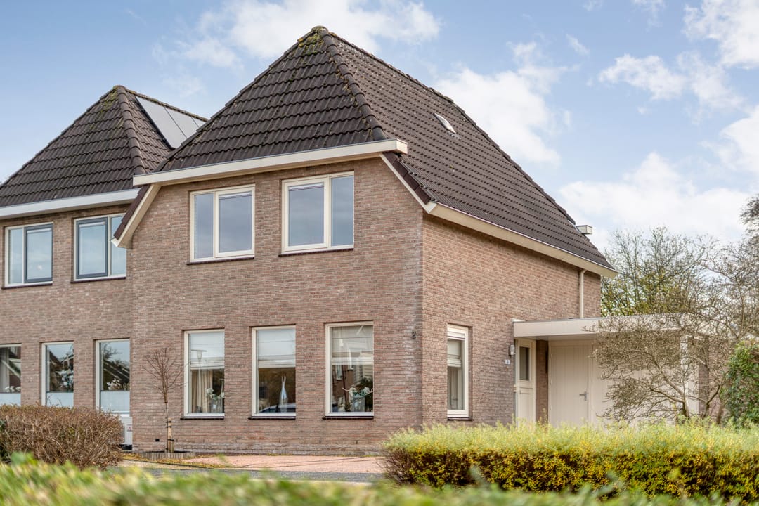 Photo 2 of Goudenregen 2