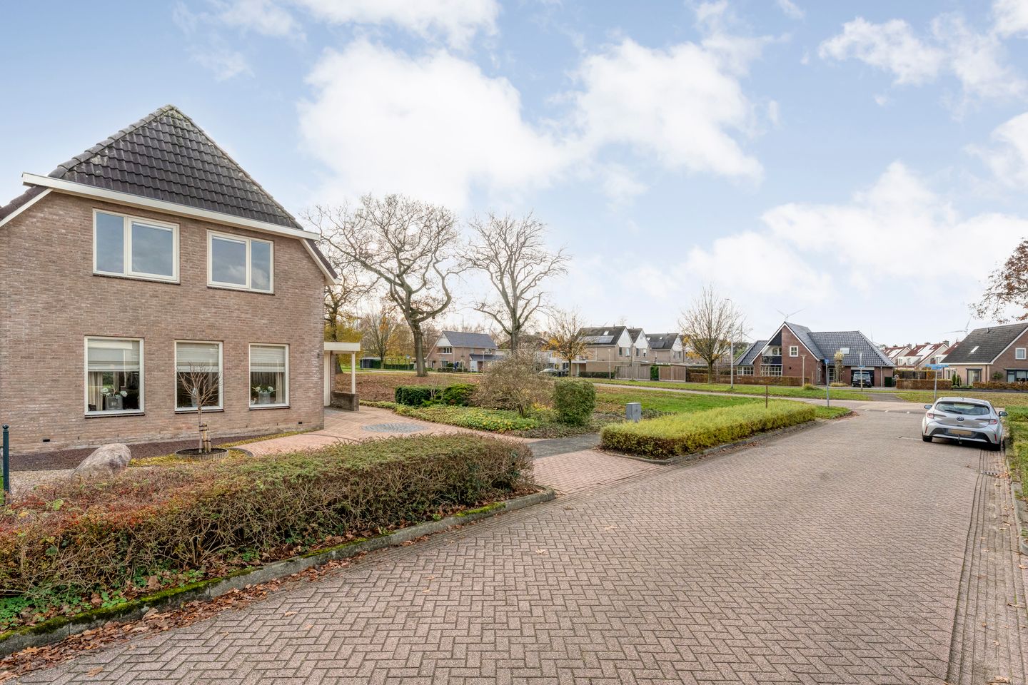 Photo 5 of Goudenregen 2