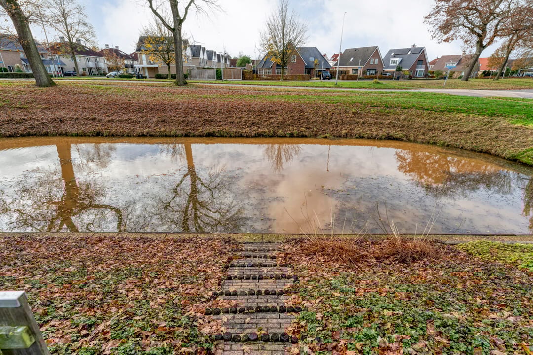 Photo 8 of Goudenregen 2