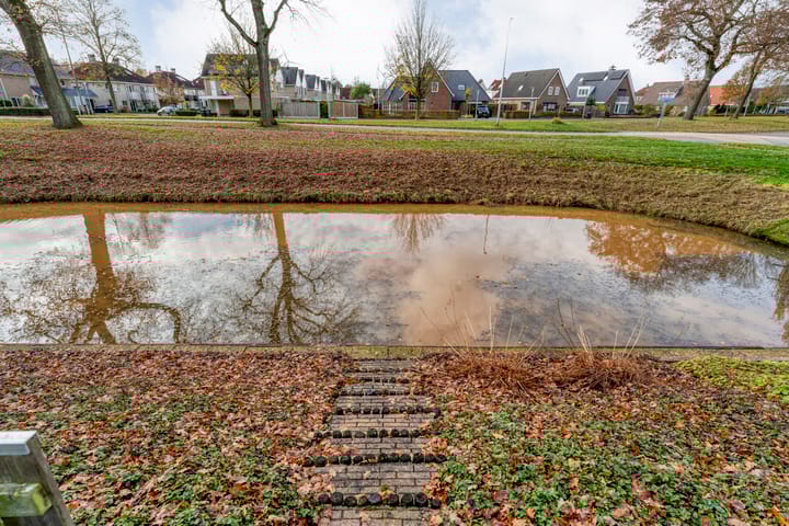 Foto 8 van Goudenregen 2