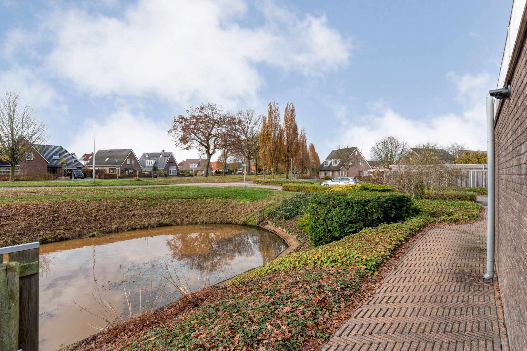 Photo 9 of Goudenregen 2