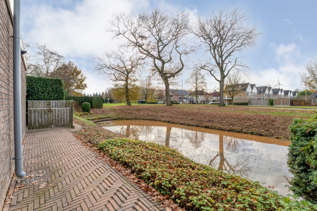 Photo 7 of Goudenregen 2