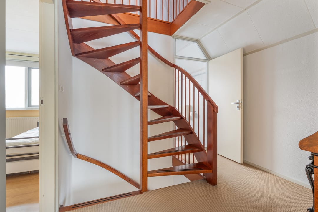 Photo 28 of Goudenregen 2