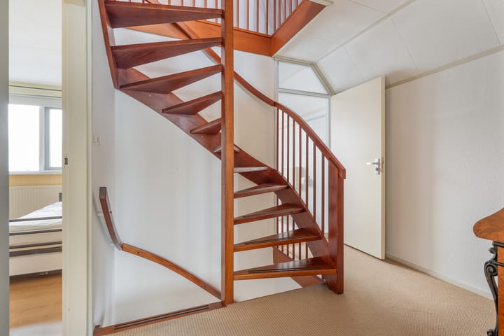 Foto 28 van Goudenregen 2