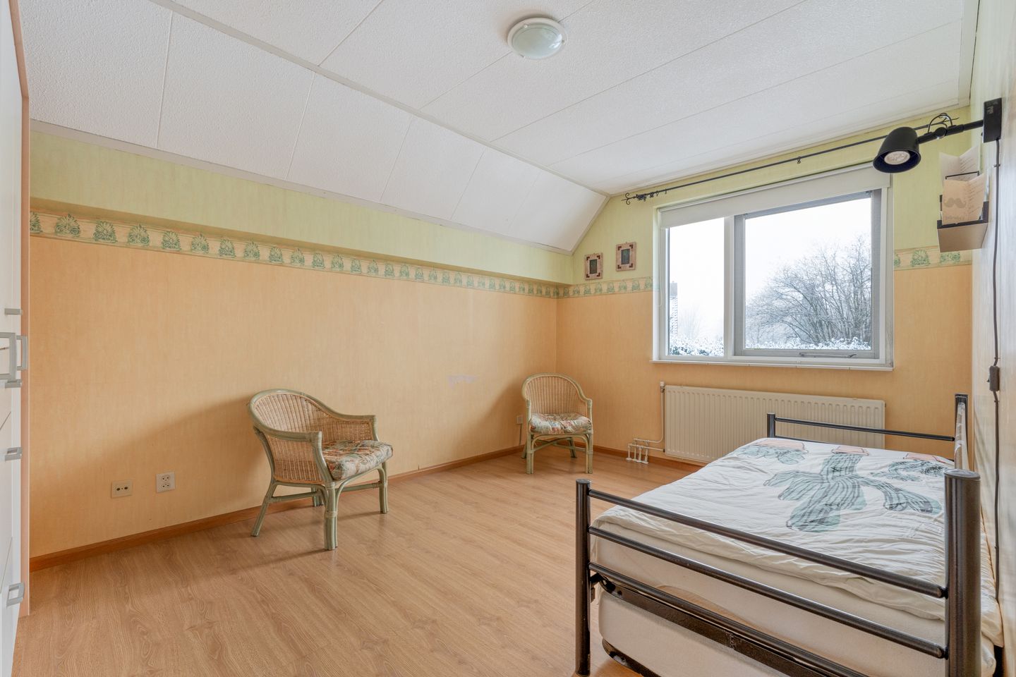 Photo 29 of Goudenregen 2