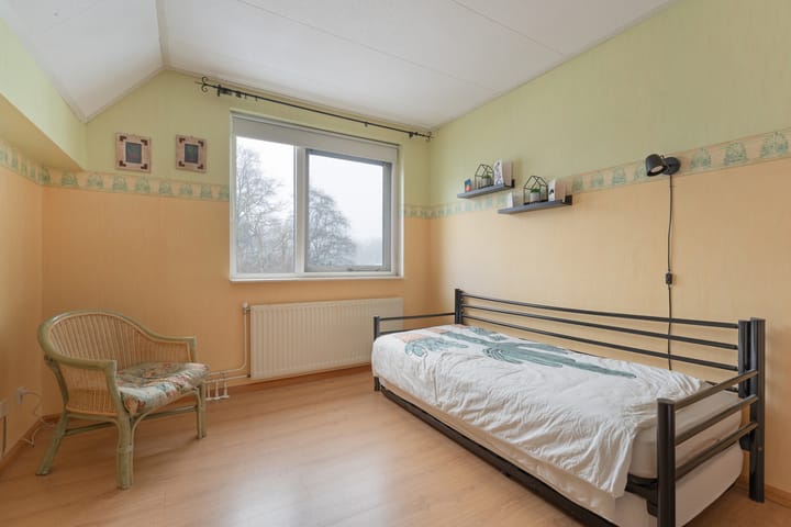 Foto 31 van Goudenregen 2