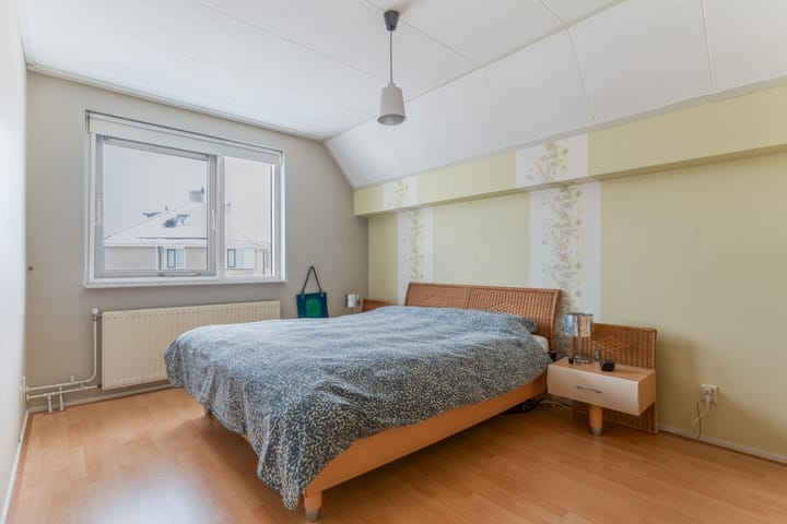 Foto 32 van Goudenregen 2