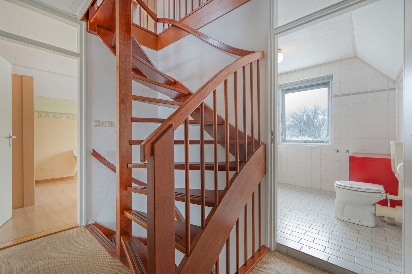 Photo 35 of Goudenregen 2