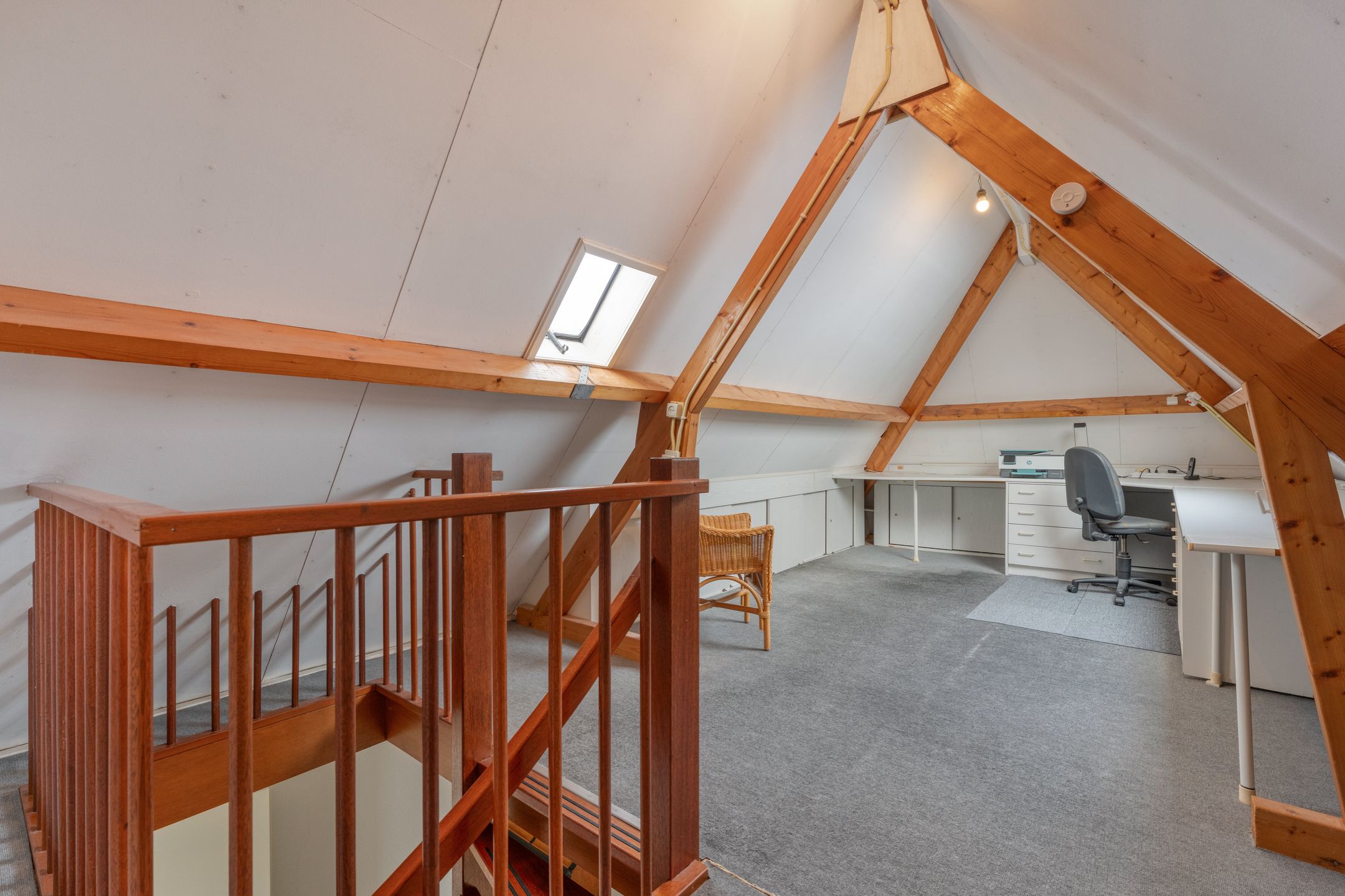 Photo 42 of Goudenregen 2