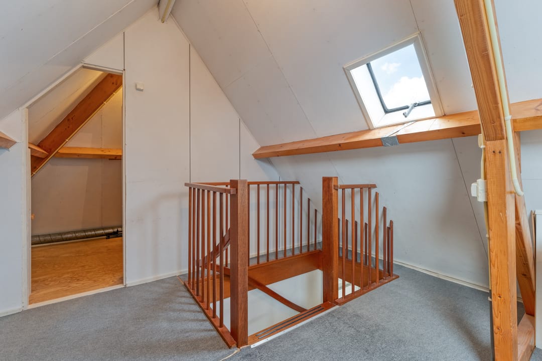 Photo 43 of Goudenregen 2