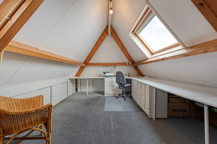 Foto 44 van Goudenregen 2