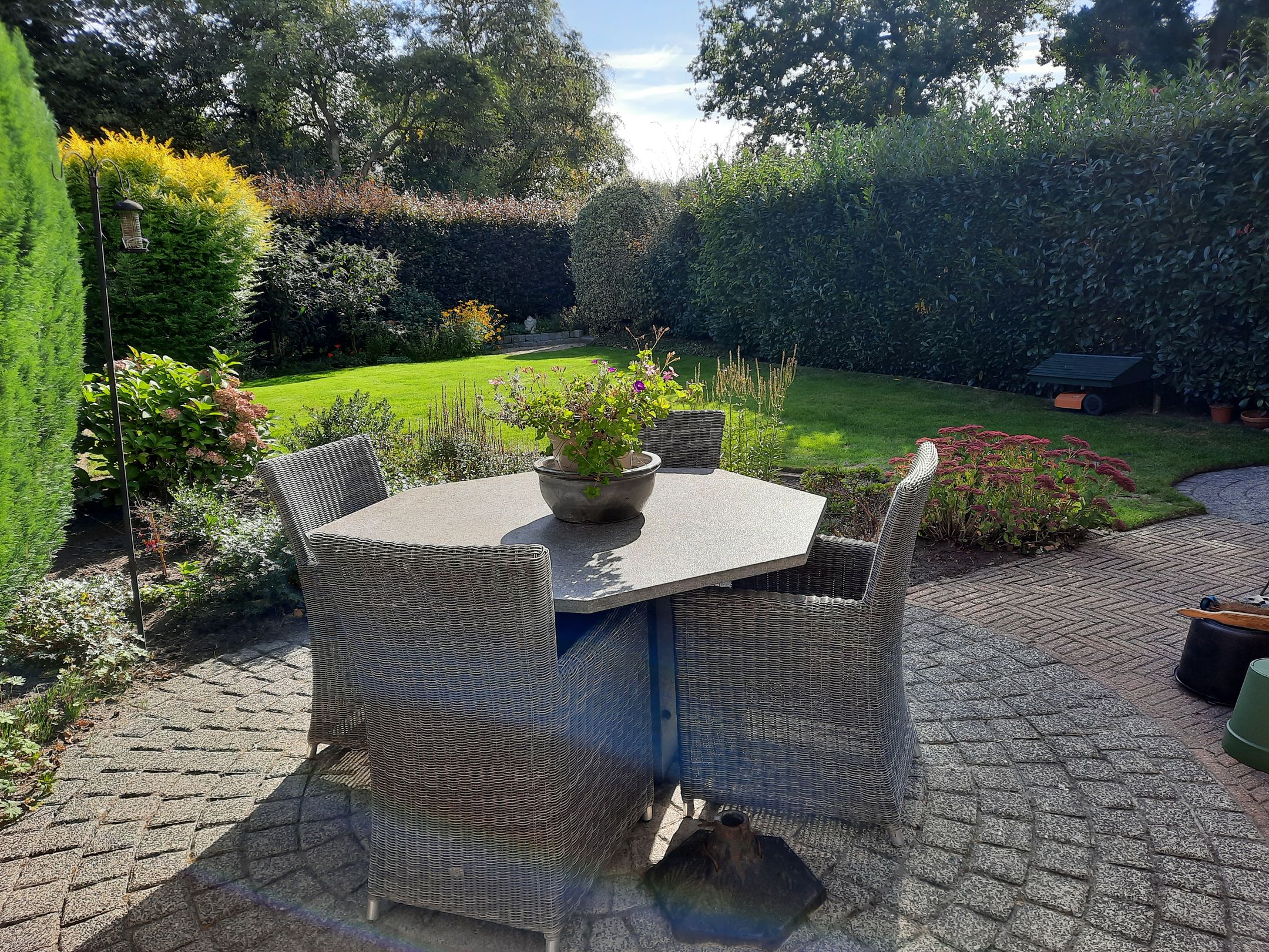 Photo 48 of Goudenregen 2