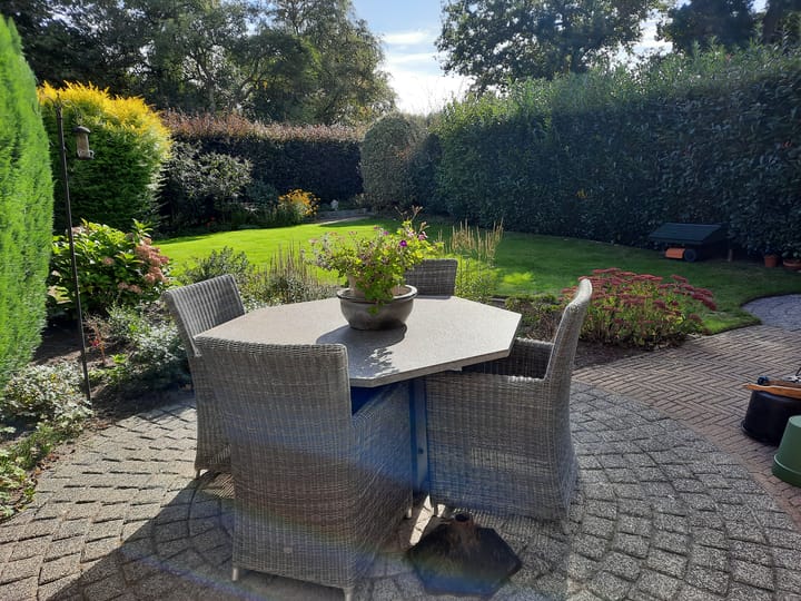 Foto 48 van Goudenregen 2