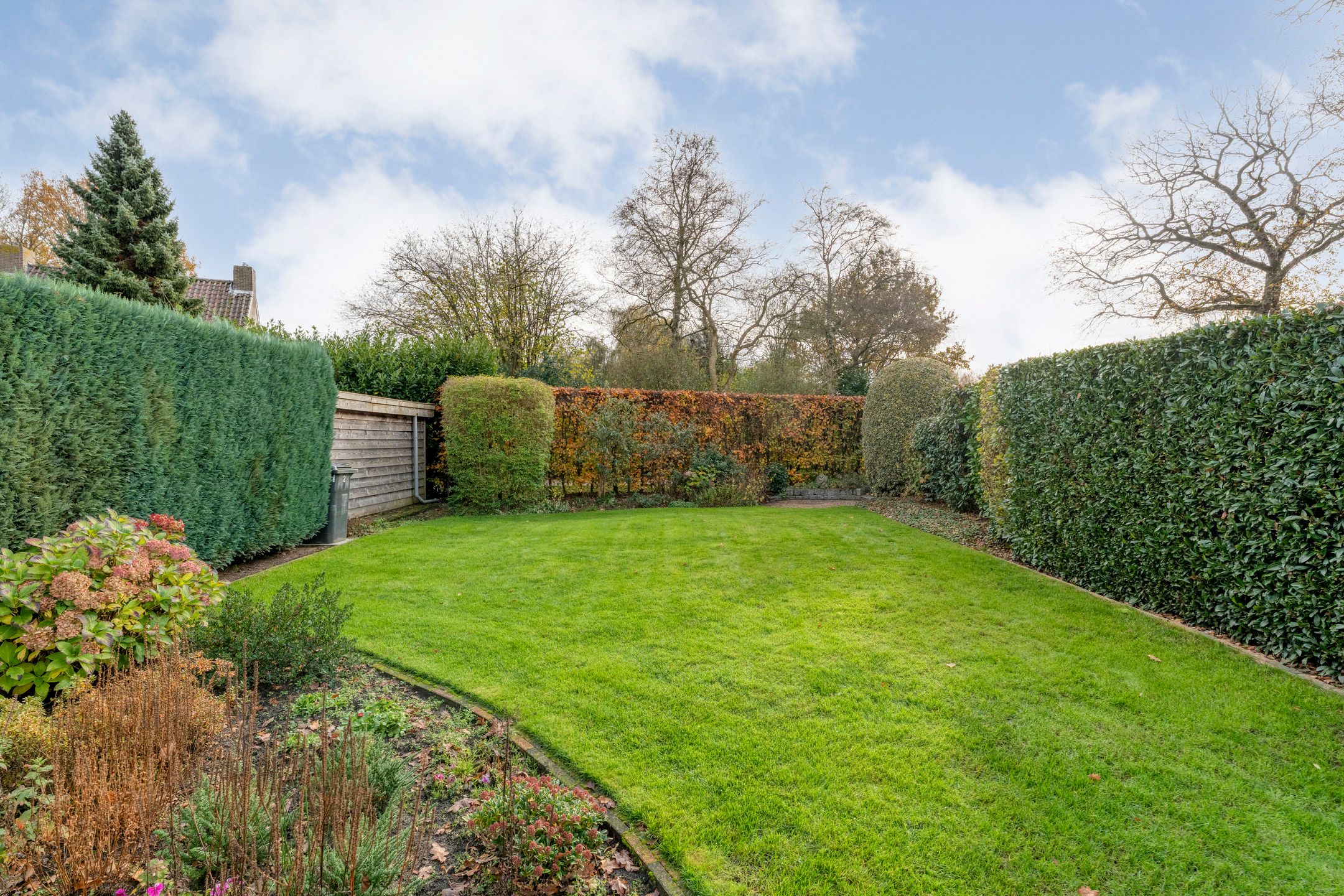 Photo 51 of Goudenregen 2