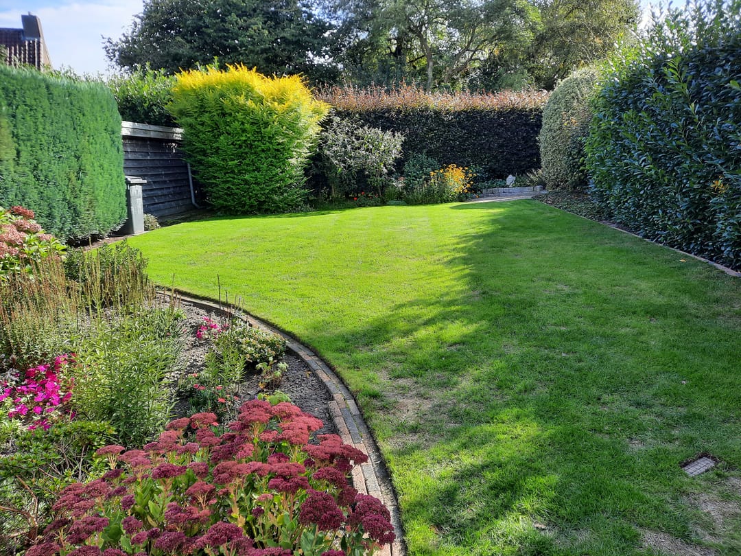 Photo 52 of Goudenregen 2