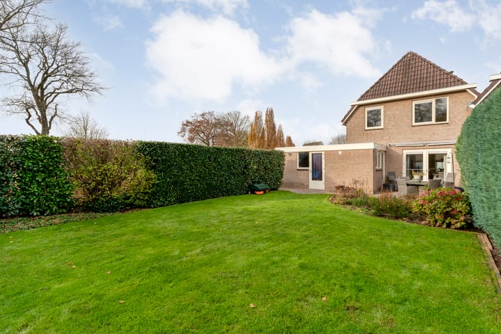 Foto 53 van Goudenregen 2