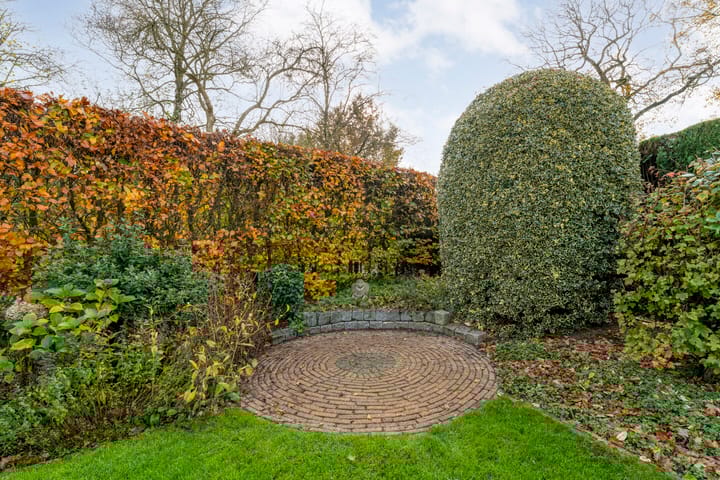 Foto 57 van Goudenregen 2