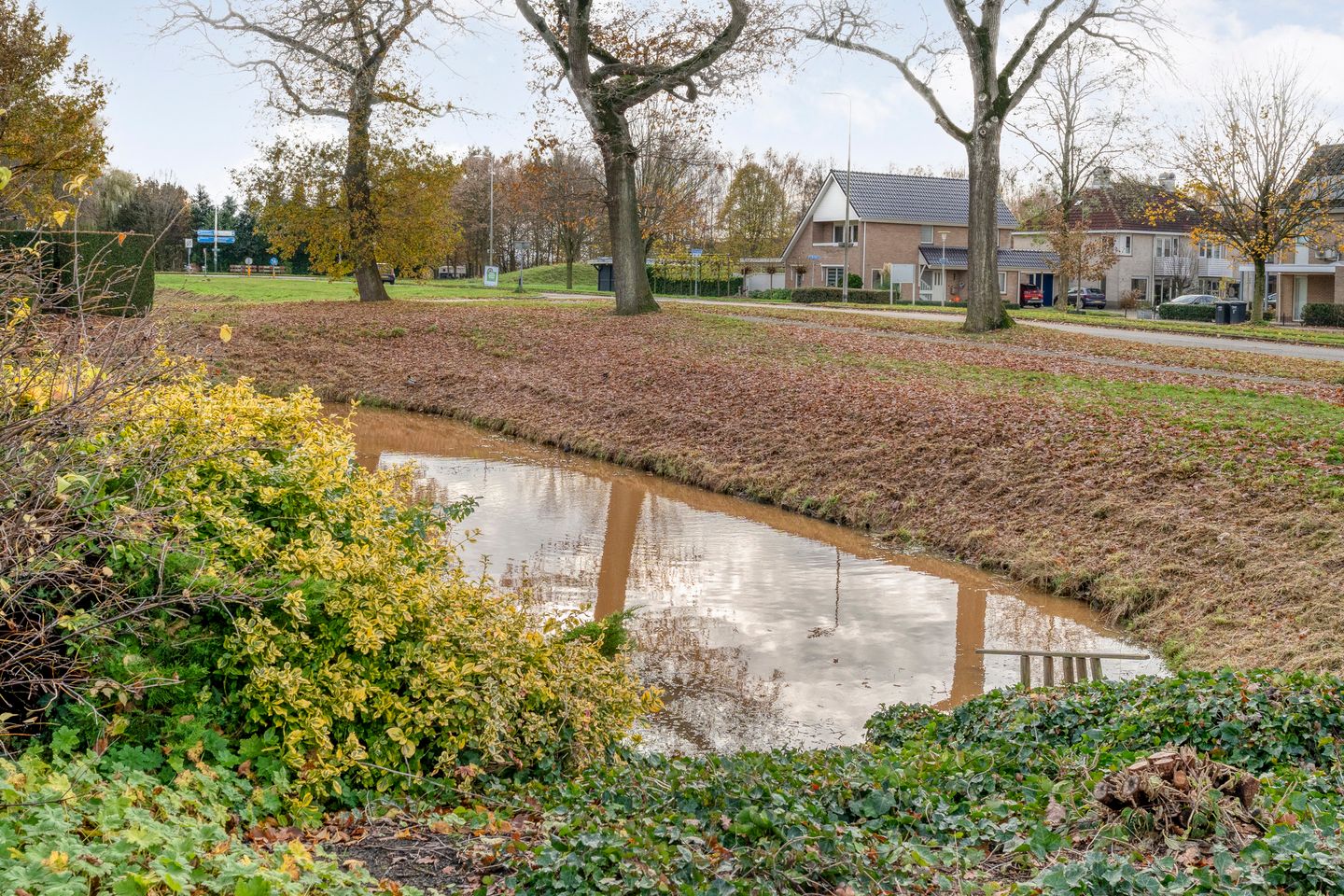 Photo 59 of Goudenregen 2