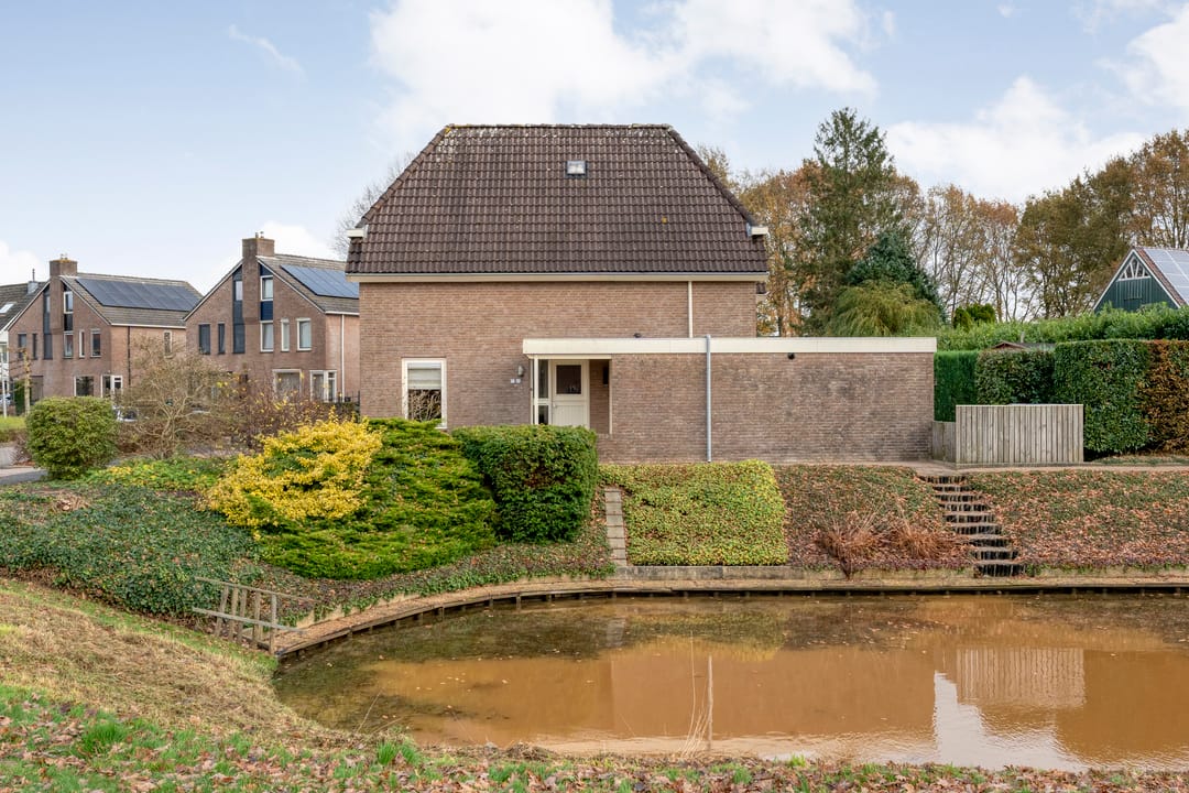 Photo 61 of Goudenregen 2