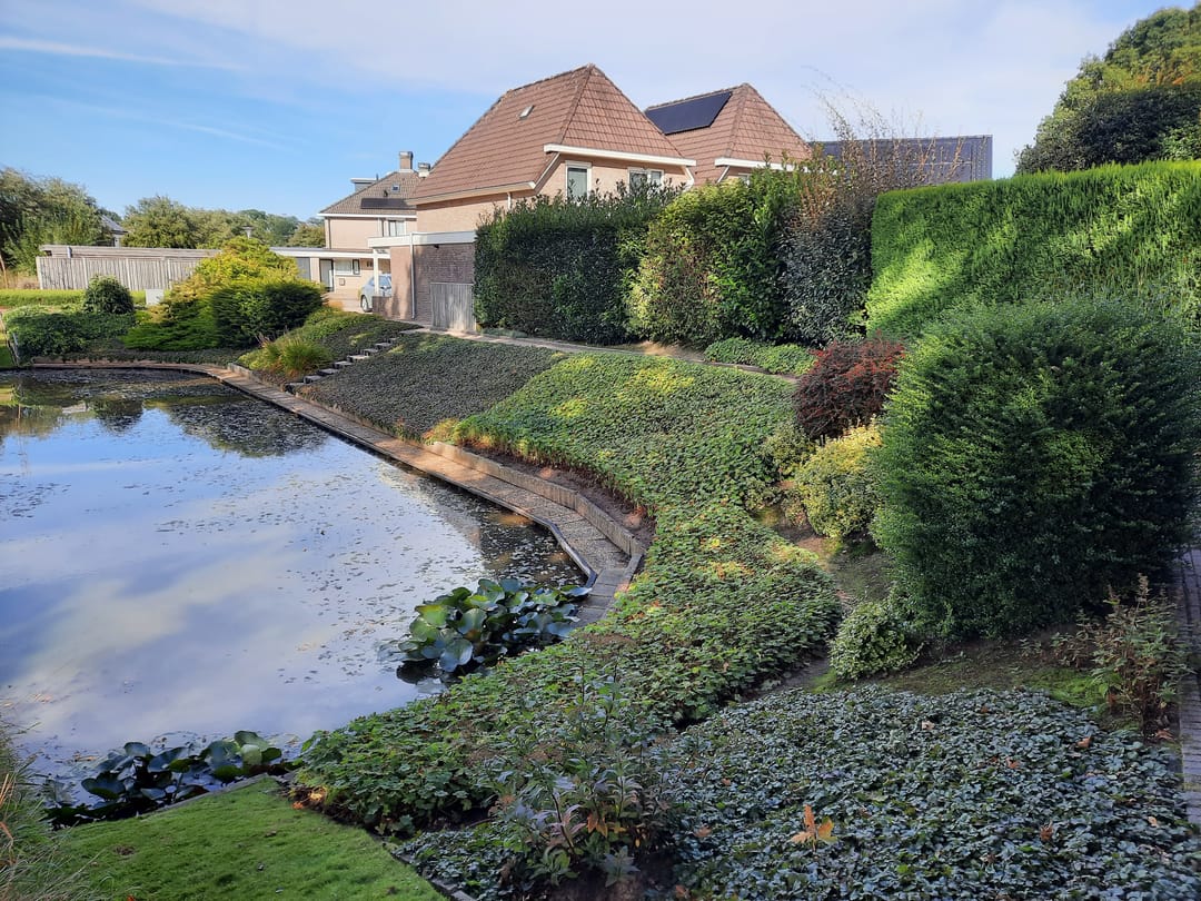 Photo 62 of Goudenregen 2