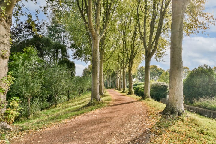 Foto 44 van Elzenlaan 166