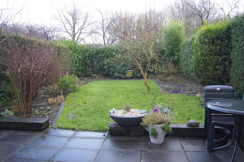 Photo 12 of Zenegroen 134