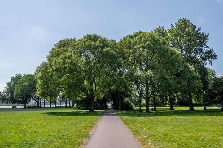 Foto 31 van Havendijk 567