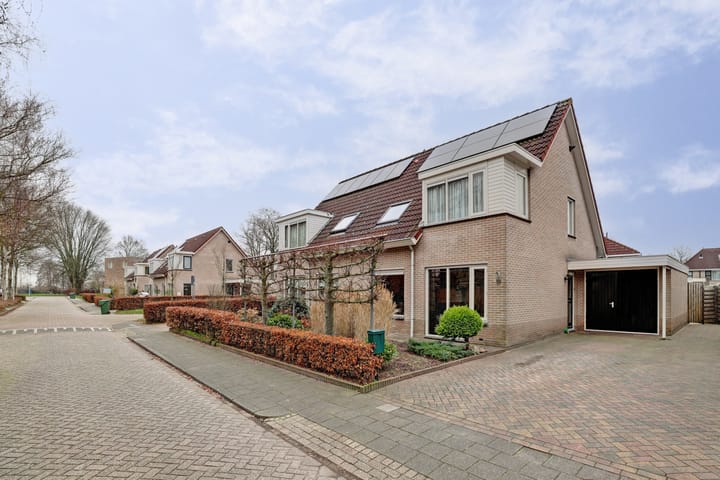 Foto 33 van Prinses Irenestraat 19