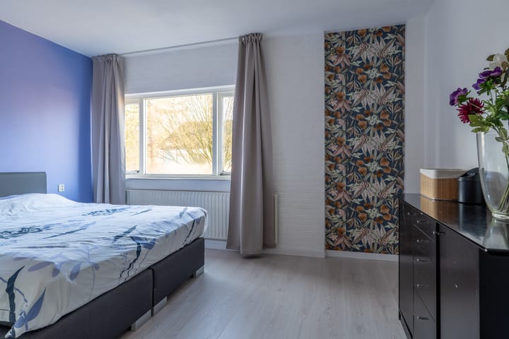 Foto 22 van Daslook 55