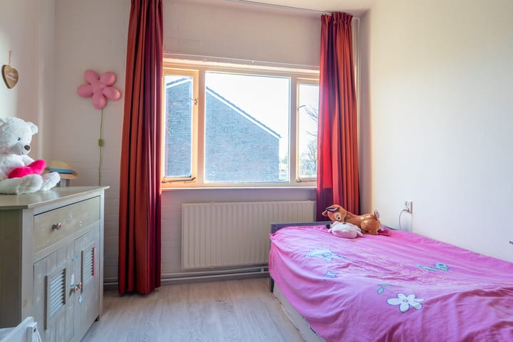 Foto 24 van Daslook 55