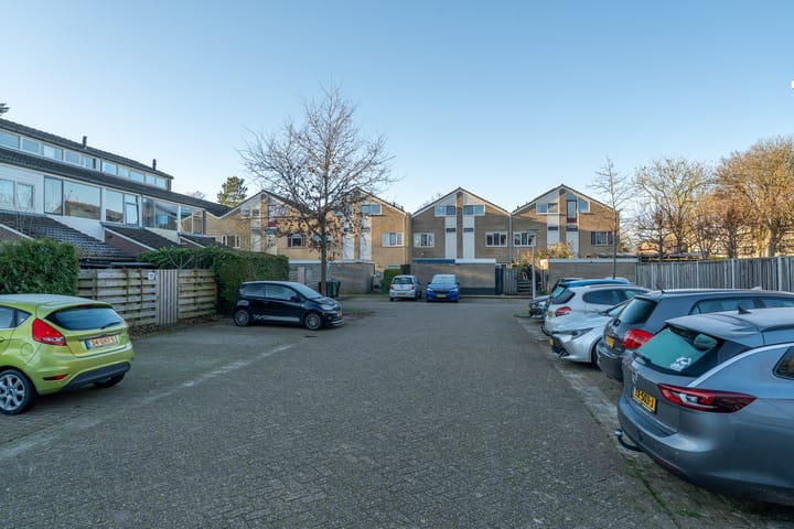 Foto 39 van Daslook 55