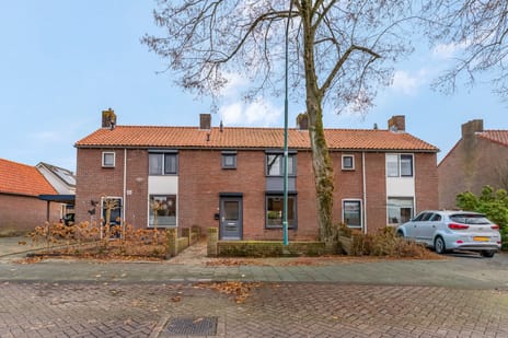 undefined main image