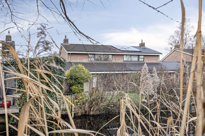 Foto 27 van Waterlelie 22