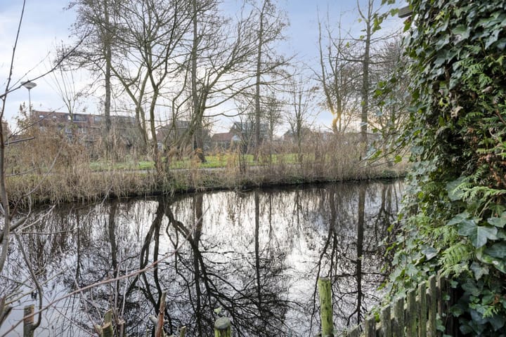 Foto 40 van Waterlelie 22