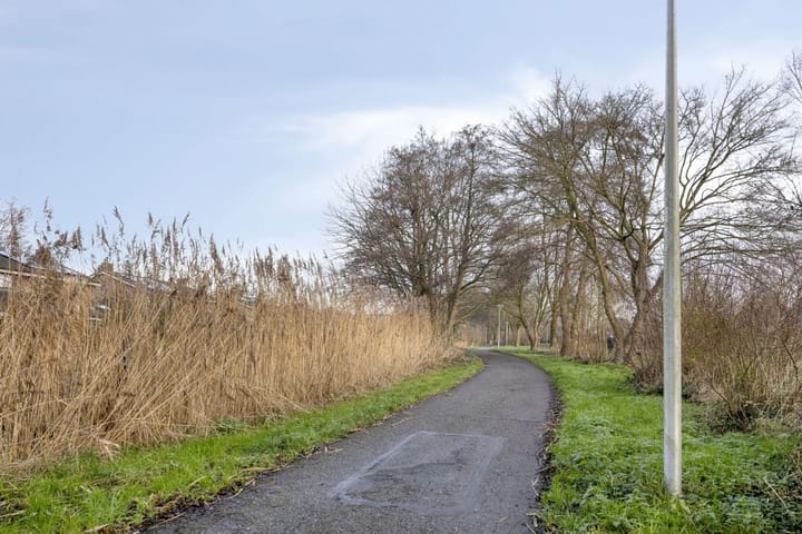 Foto 41 van Waterlelie 22