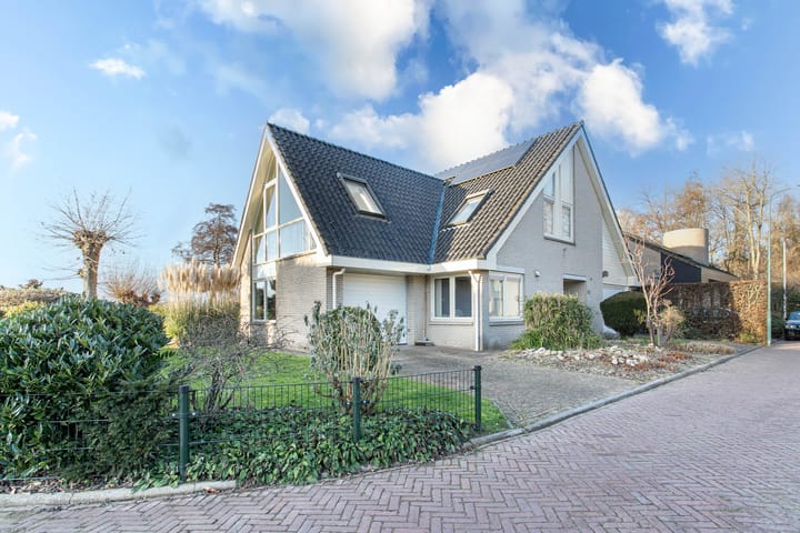 Foto 5 van Haarpad 9