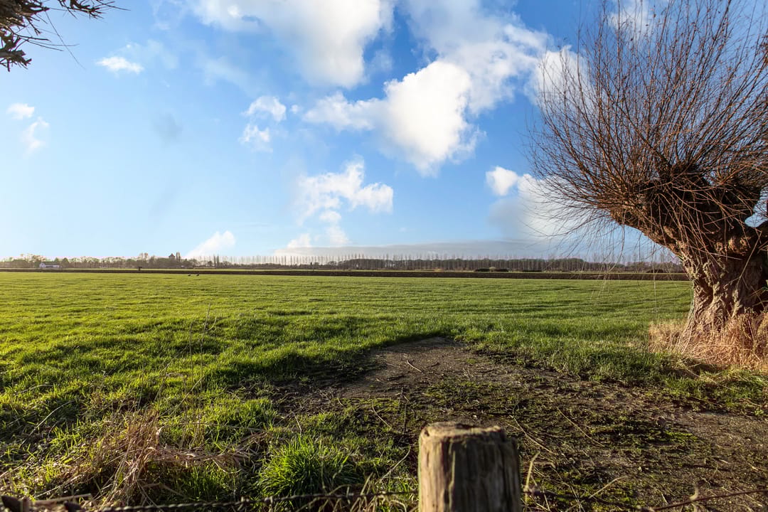 Foto 38 van Haarpad 9