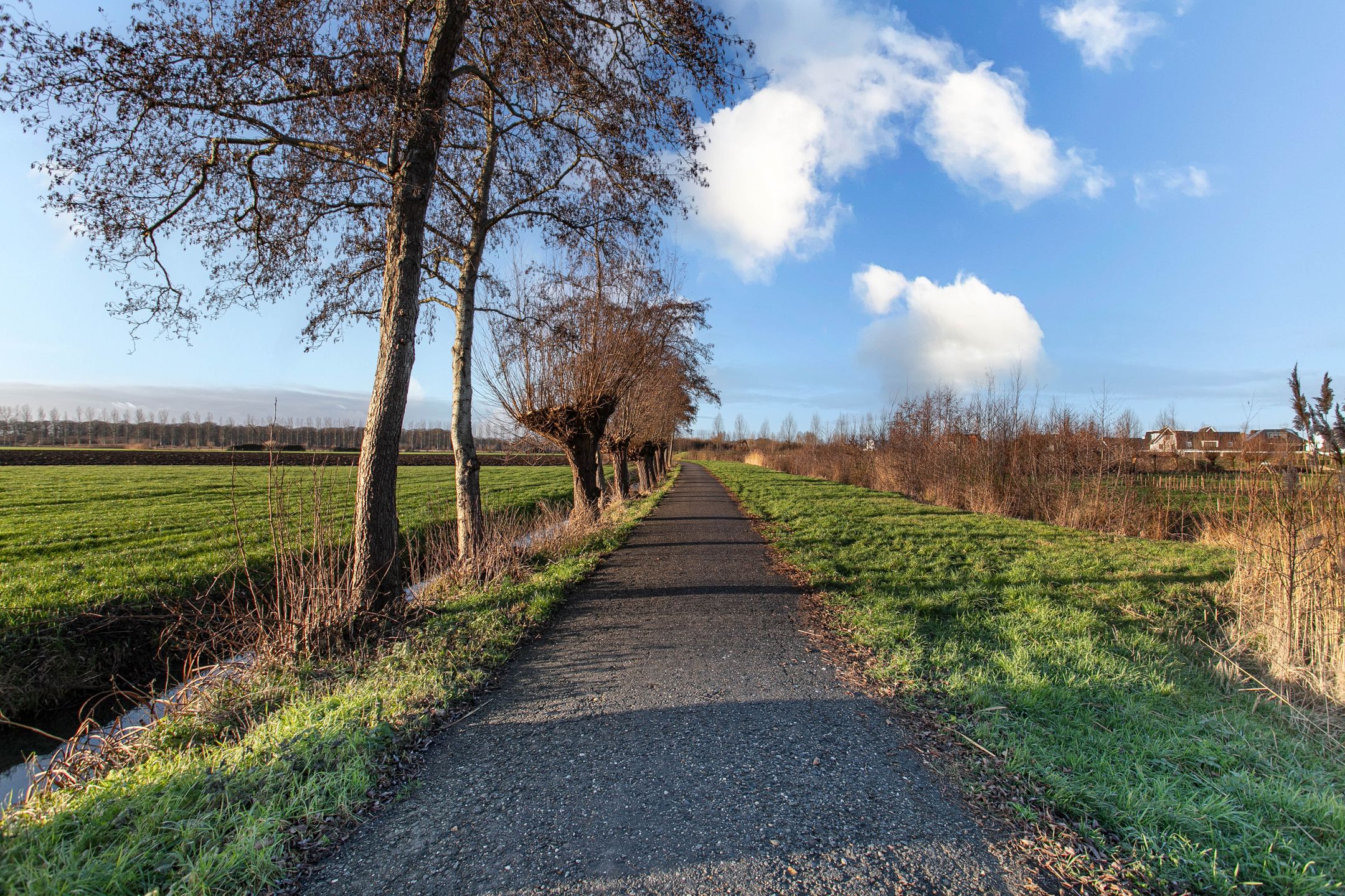 Foto 39 van Haarpad 9