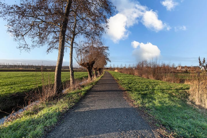 Foto 39 van Haarpad 9