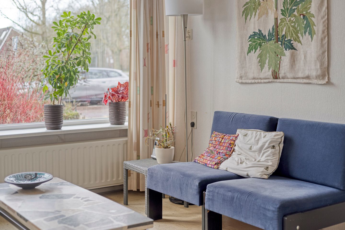 Foto 14 van De Wedde 60