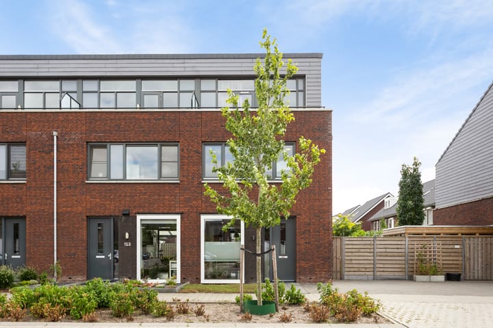 Photo 5 of Muntmeester 151