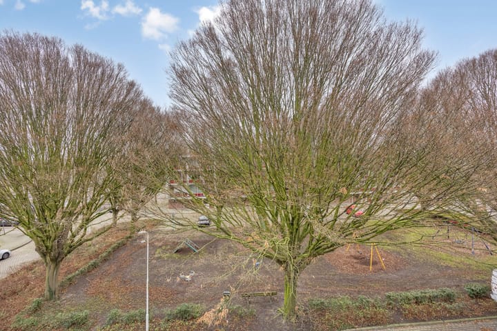 Foto 30 van Breitnerstraat 19