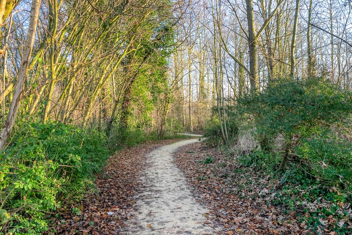 Foto 28 van Zonnebloempad 22